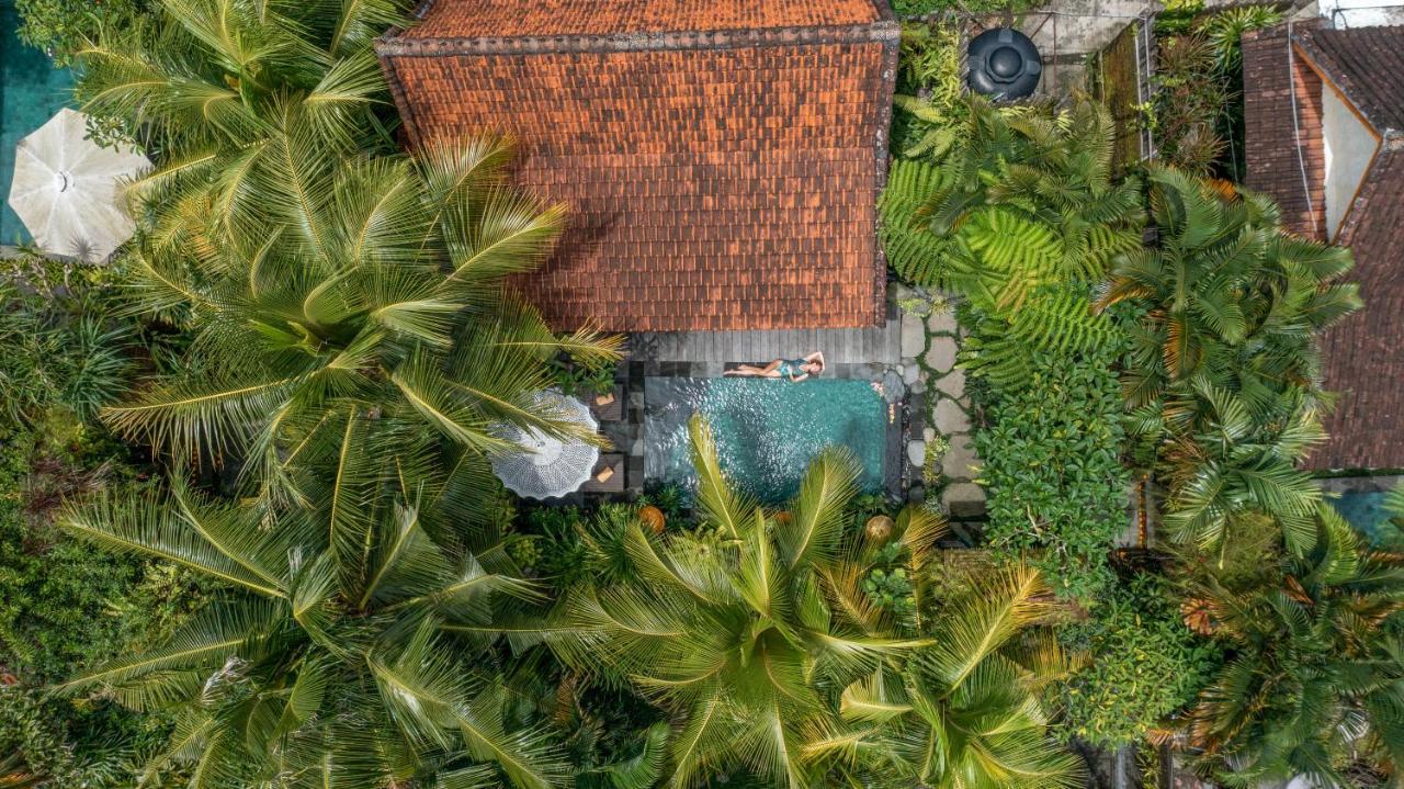 Villa The Spirit Ubud (Bali)