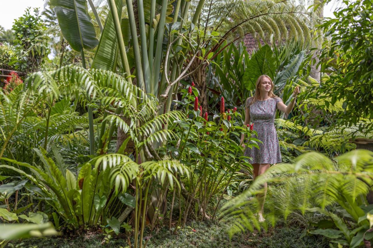 Villa The Spirit Ubud (Bali)