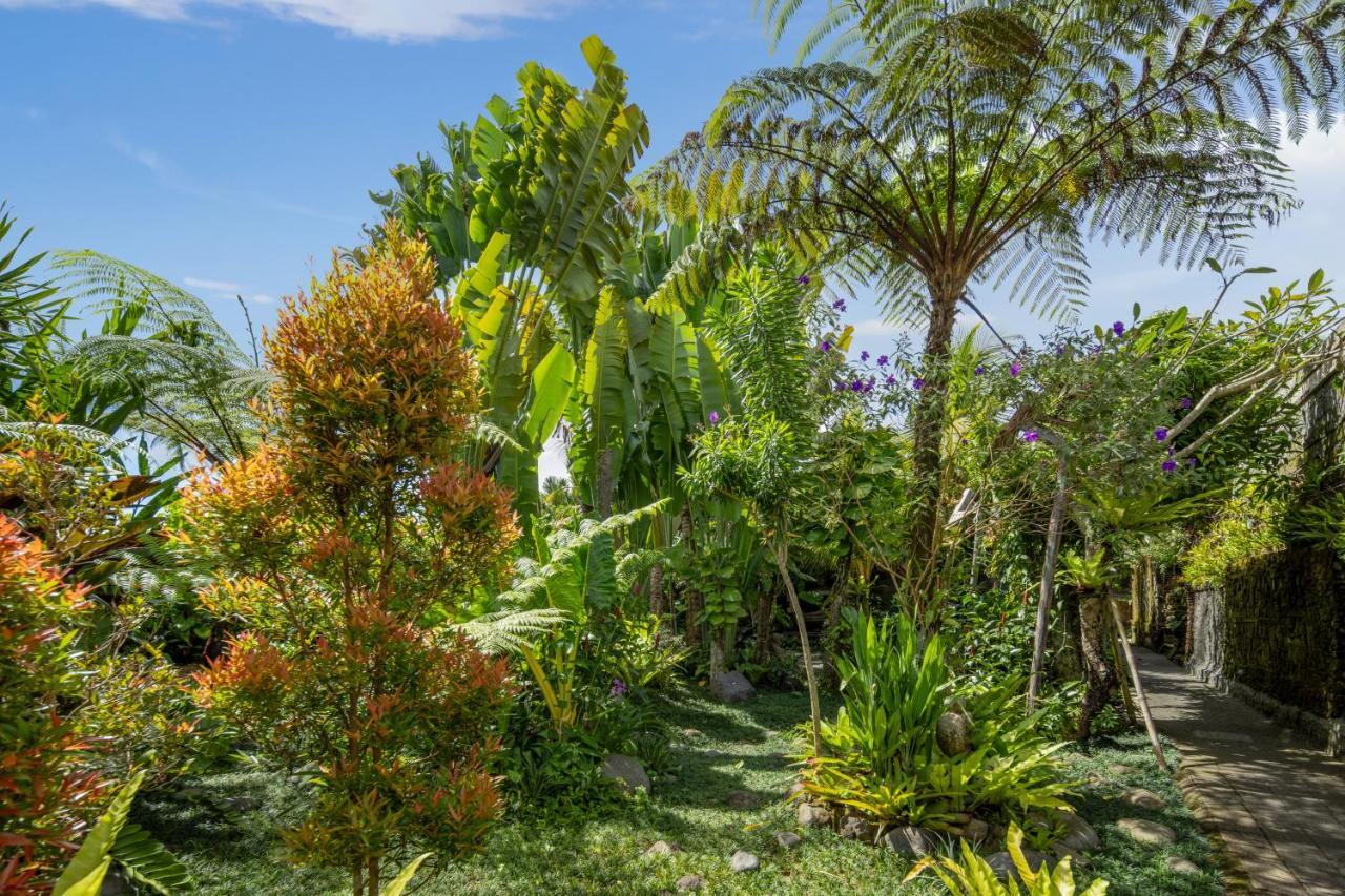Villa The Spirit Ubud (Bali)